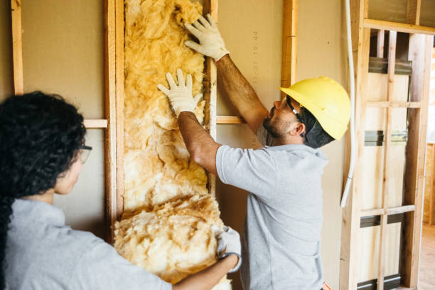 Best Soundproof Insulation  in Memphis, TX